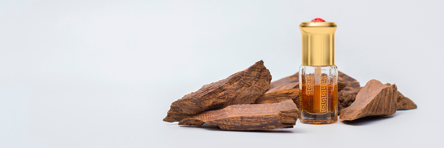 Oud 101: Clean, Medicinal & Sweet Ouds Explained (Beginner’s Guide, 2025)